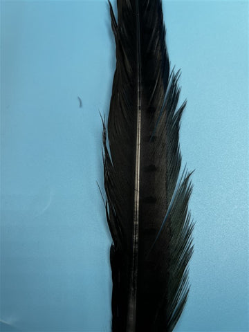 Wapsi Ringneck Tail Feathers Black - The Trout Spot