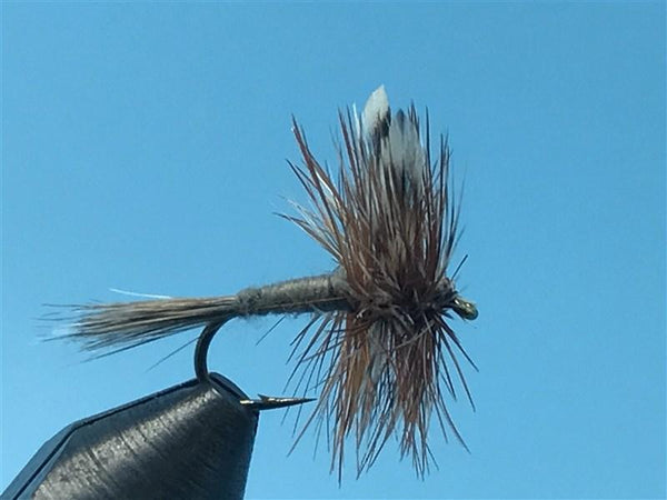 Adams Dry Fly - The Trout Spot