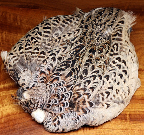 Hen Ringneck Pheasant Skin - The Trout Spot