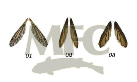 Montana Fly Company Lazer Caddis Wings - The Trout Spot