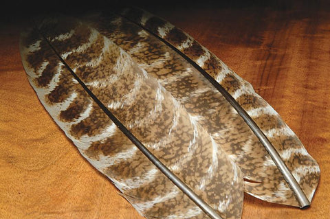 Ozark Oak Mottled Turkey Quills - The Trout Spot