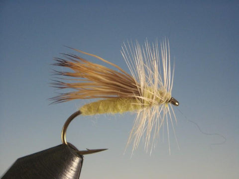 Yellow Sally - The Trout Spot