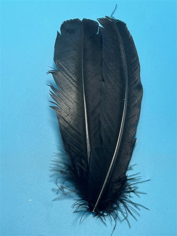 Natures Spirit Ozark Barred Turkey Quills Black - The Trout Spot