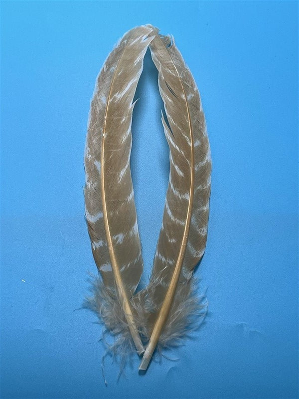 Natures Spirit Ozark Barred Turkey Quills Bleached - The Trout Spot