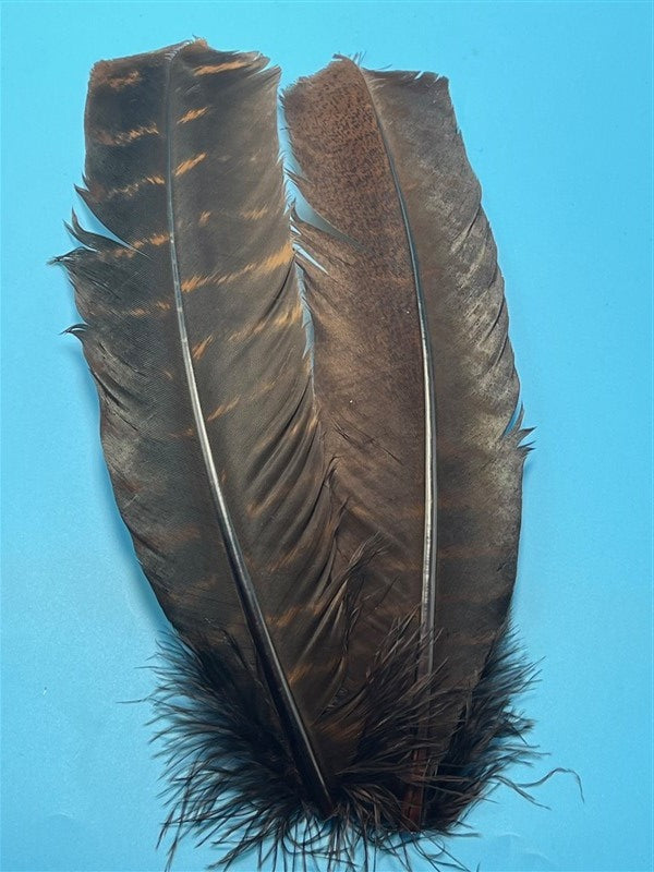 Natures Spirit Ozark Barred Turkey Quills Brown - The Trout Spot