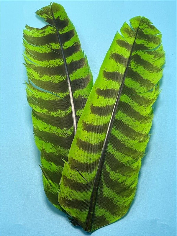 Natures Spirit Ozark Barred Turkey Quills Caddis Green - The Trout Spot