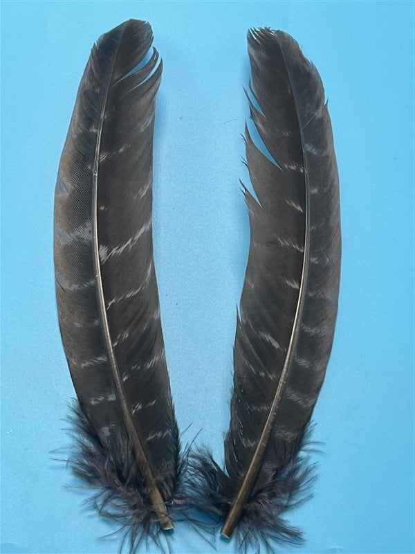 Natures Spirit Ozark Barred Turkey Quills Muskrat Gray - The Trout Spot