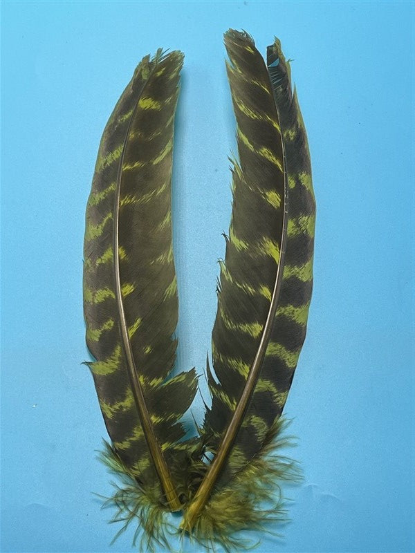 Natures Spirit Ozark Barred Turkey Quills Olive - The Trout Spot