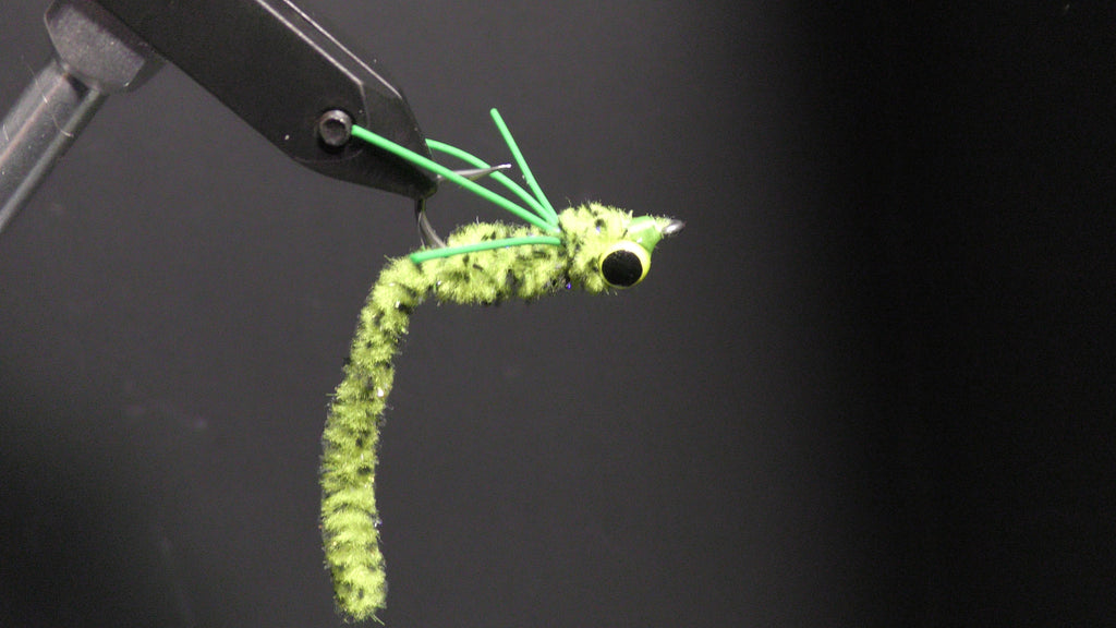 micro ned rig@thetrotspot.com