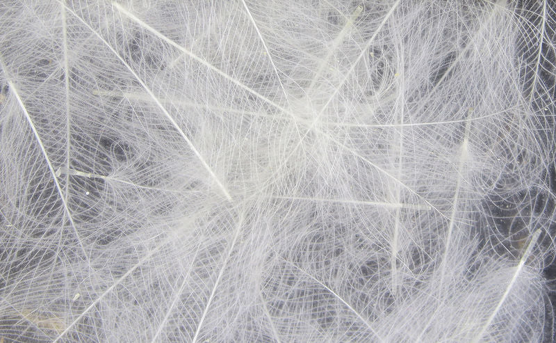 UV2 Select Cdc - The Trout Spot