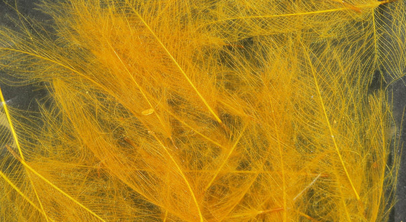 UV2 Select Cdc - The Trout Spot