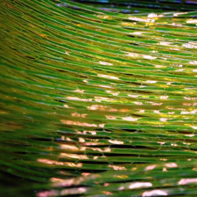 Perdigon Strips Yellow Lemon