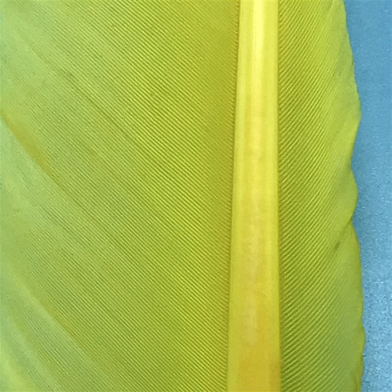 MFC Turkey Biots - The Trout Spot