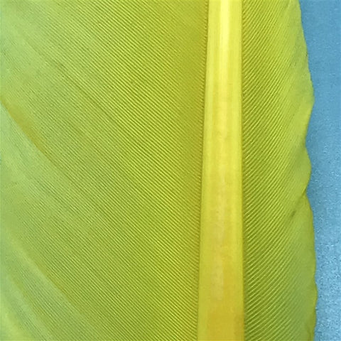 MFC Turkey Biots - The Trout Spot