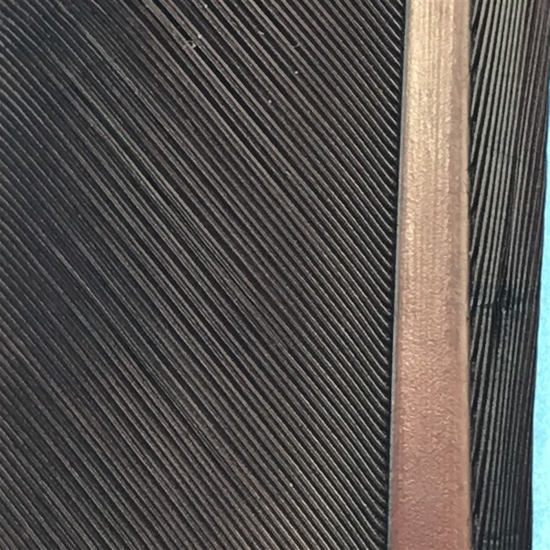 MFC Turkey Biots - The Trout Spot