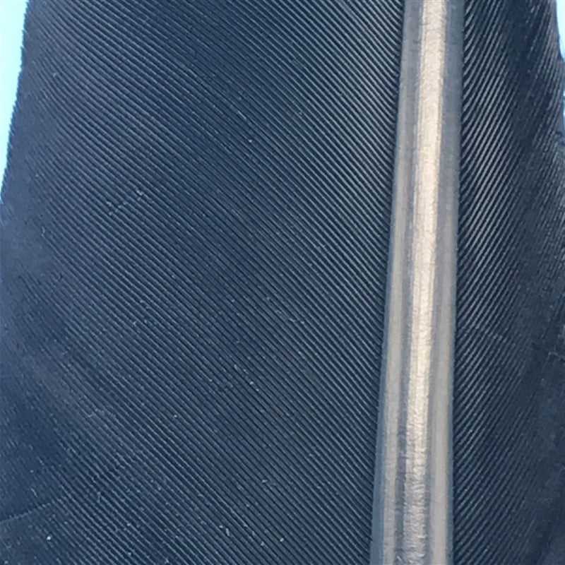 MFC Turkey Biots - The Trout Spot