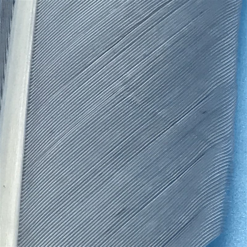 MFC Turkey Biots - The Trout Spot