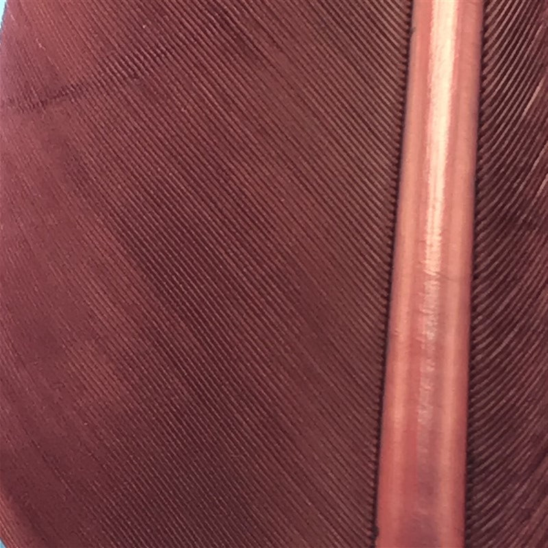 MFC Turkey Biots - The Trout Spot