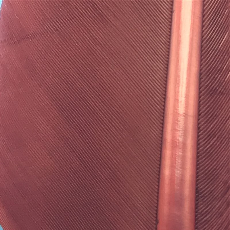 MFC Turkey Biots - The Trout Spot