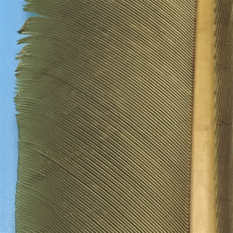 MFC Turkey Biots - The Trout Spot