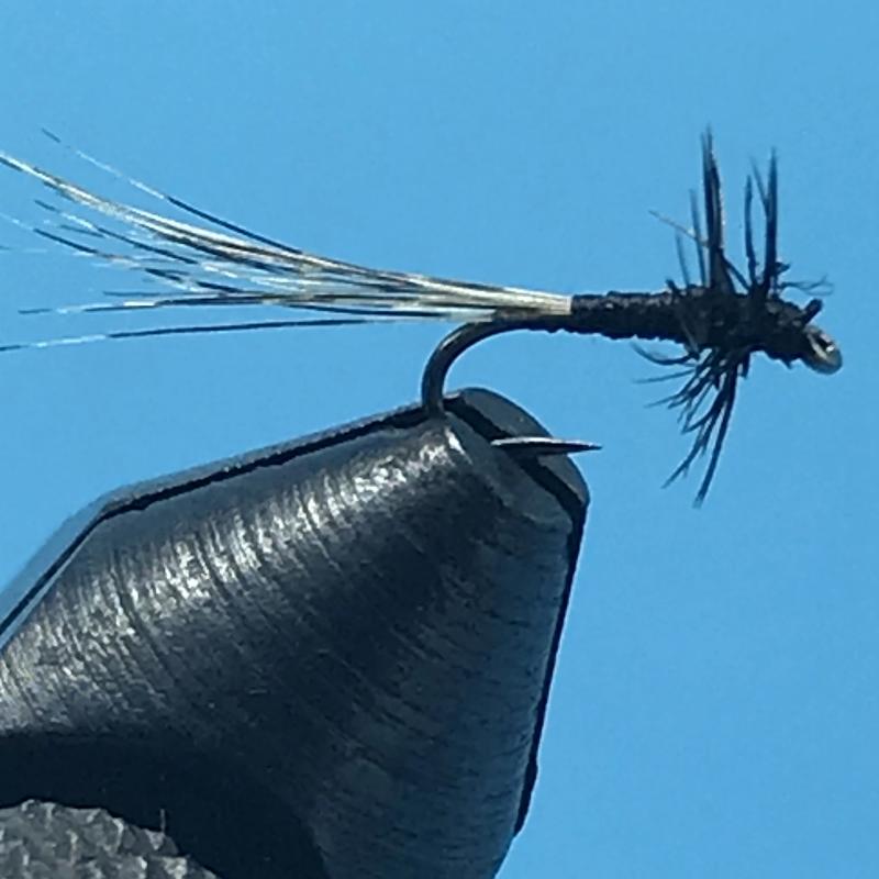 Rogers Reapers Black Gnat - The Trout Spot