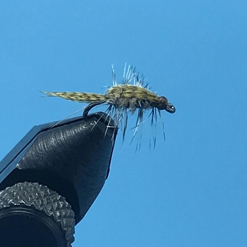 Rogers Reaper Lake Nymph - The Trout Spot