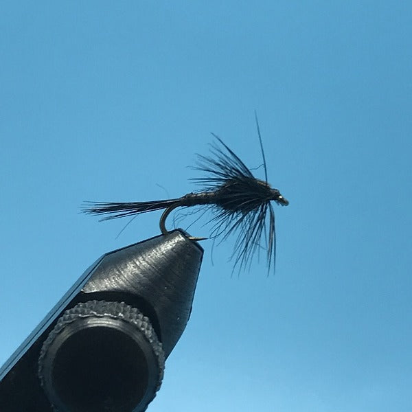 Quill Nymph Black - The Trout Spot