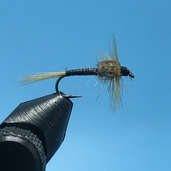 Quill Nymph Ginger - The Trout Spot
