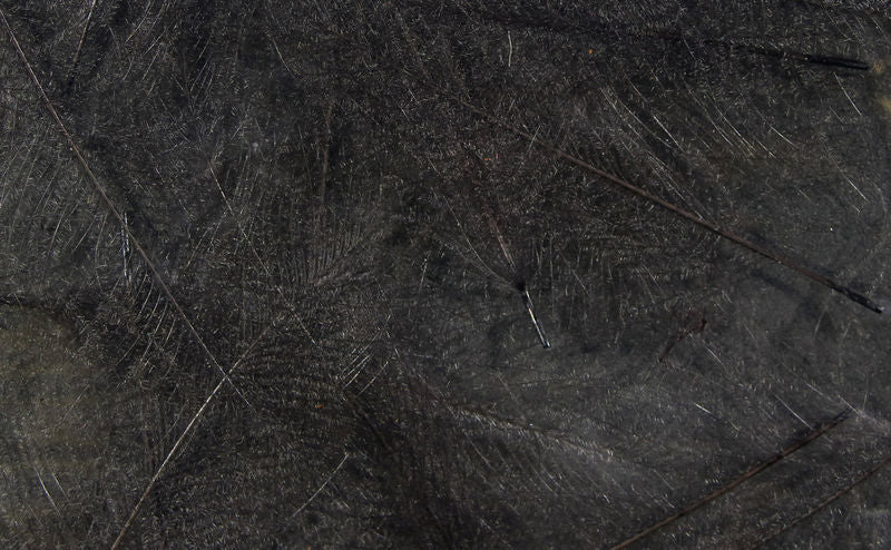 UV2 Select Cdc - The Trout Spot