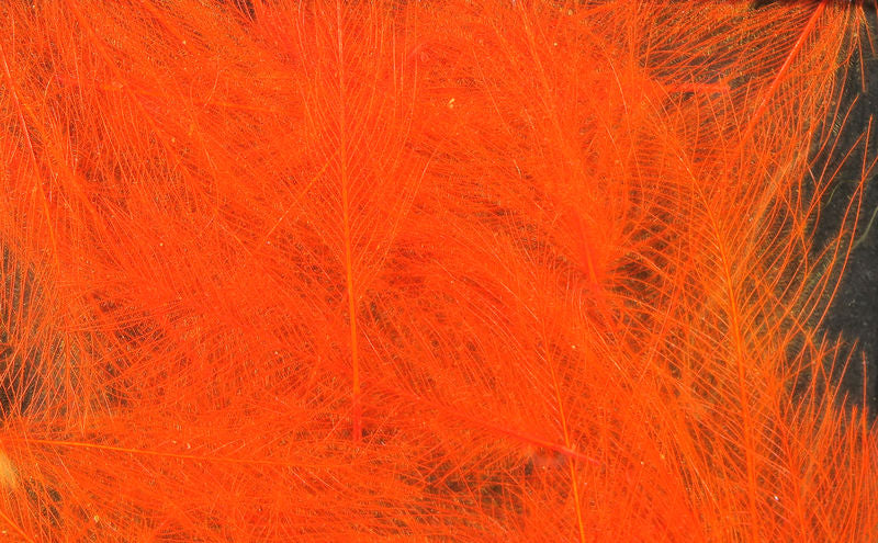 UV2 Select Cdc - The Trout Spot