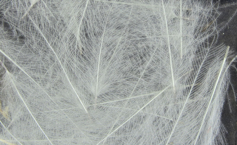 UV2 Select Cdc - The Trout Spot