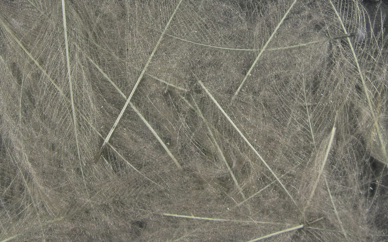 UV2 Select Cdc - The Trout Spot