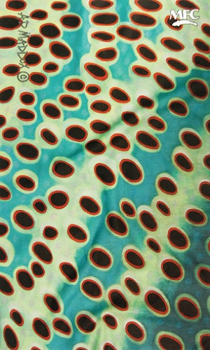 MFC Fish Gaiter Maddox's Brown Trout Skin XV - The Trout Spot