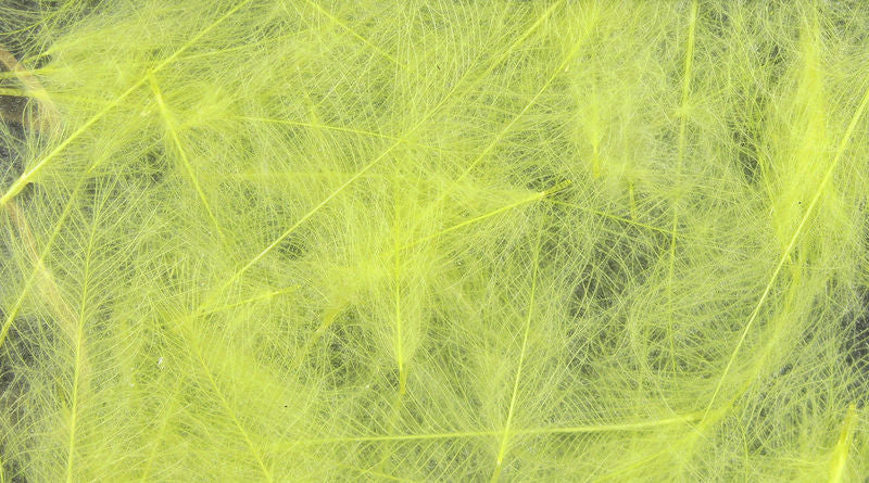 UV2 Select Cdc - The Trout Spot