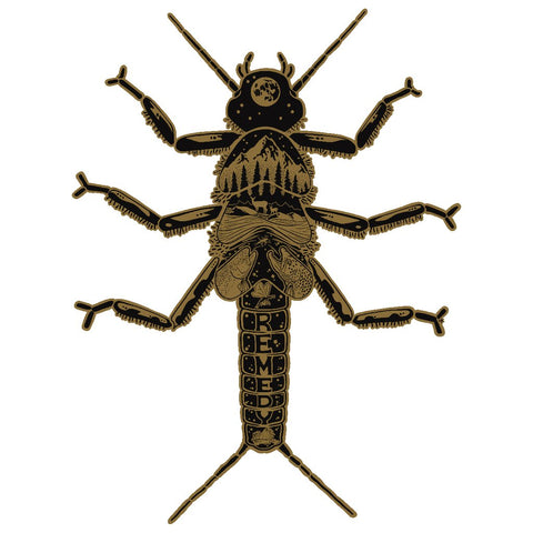Golden Stonefly Decal - The Trout Spot
