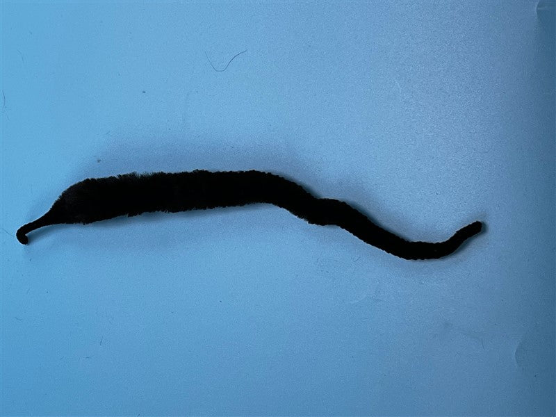 Mangum's Original Dragon Tail UV2 Treated Black - the TRout Spot