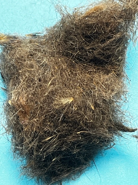 UV Tracer Squirrel Dubbing Brown - The Trout Spot