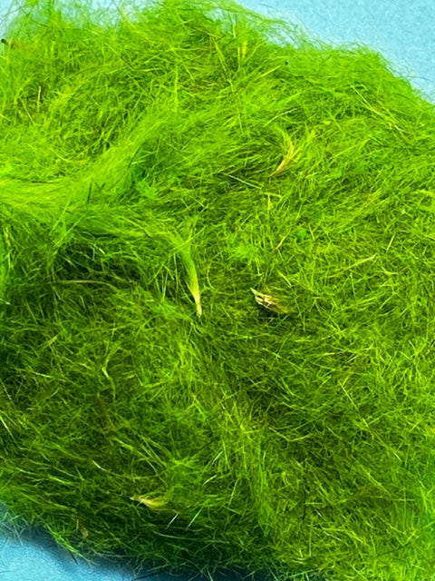 UV Tracer Squirrel Dubbing Caddis Green Chartreuse - The Trout Spot