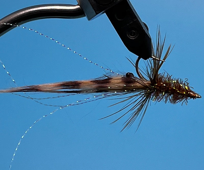 Sparkle Shrimp - The Trout Spot