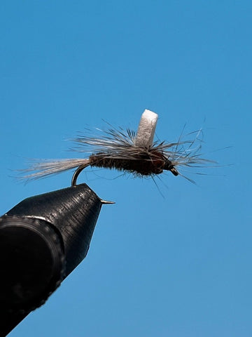 Foam Wing Biot Body Callibaetis - The Trout Spot