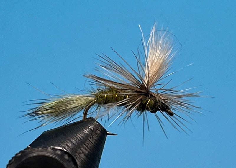 Parachute Caddis Olive - The Trout Spot