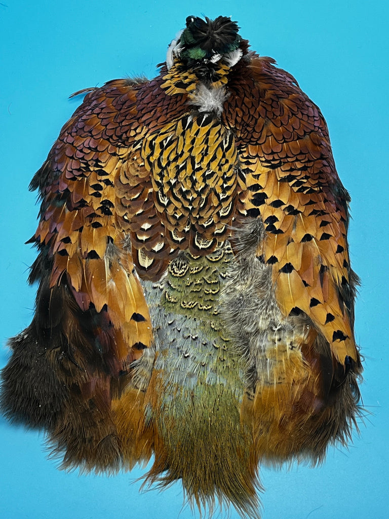 Natures Spirit Ringneck Pheasant Skin - The Trout Spot