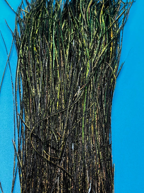 Strung Peacock Herl Natural 1/8 Ounce - The Trout Spot
