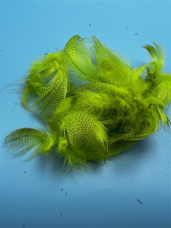 Wapsi Barred Mallard Flank FL Chartreuse - The Trout Spot