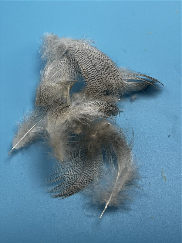 Wapsi Barred Mallard Flank Natural - The Trout Spot