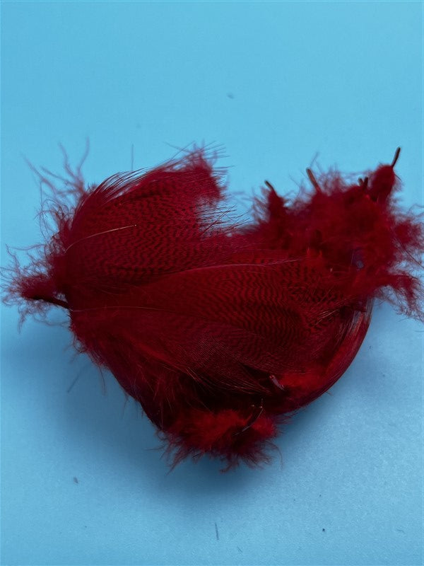 Wapsi Barred Mallard Flank Red - The Trout Spot