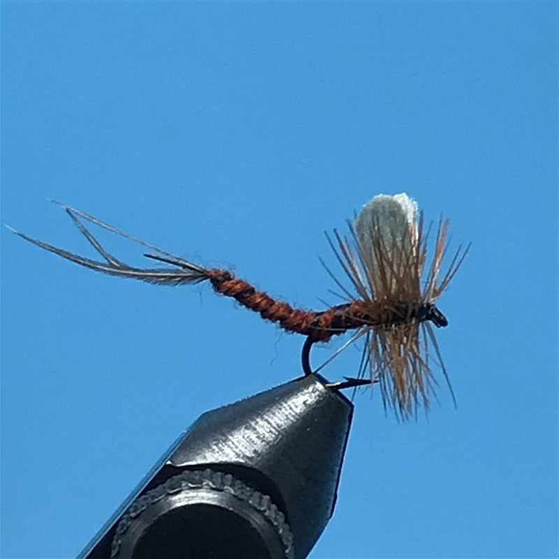 Brown Mayfly - The Trout Spot