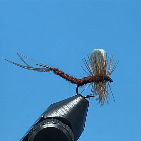 Brown Mayfly - The Trout Spot