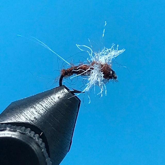 Rusty Spinner - The Trout Spot
