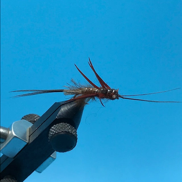 Thunderbug Brown - The Trout Spot